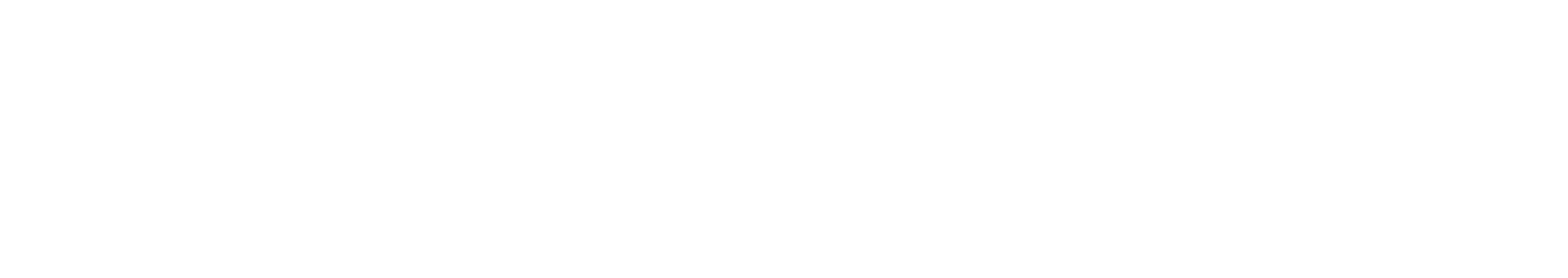 Sentient Financial