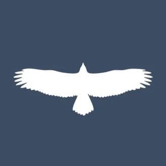 Silhouette of a bird with wings spread wide against a dark background.